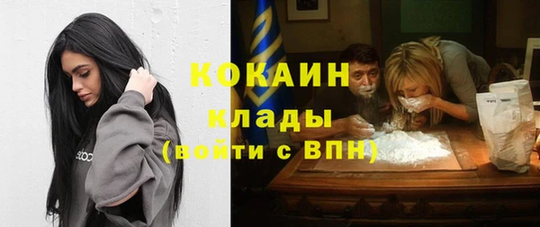 шишки Арсеньев