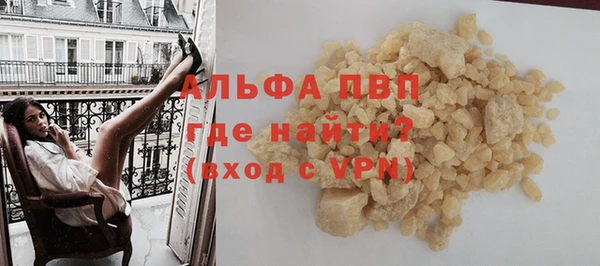 шишки Арсеньев