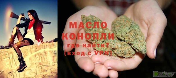 шишки Арсеньев